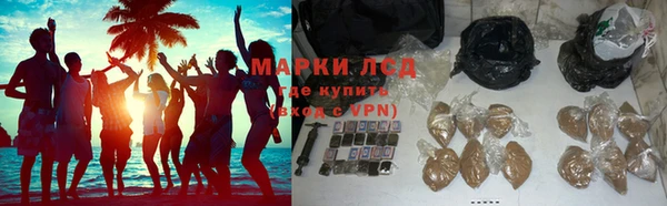 спайс Пересвет