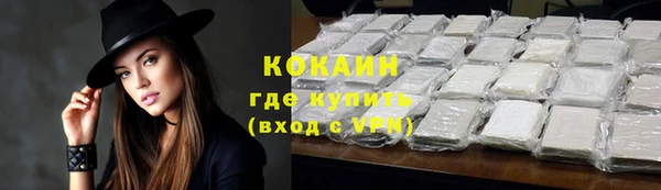 спайс Пересвет
