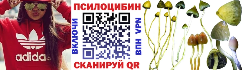 купить  цена  Комсомольск  Псилоцибиновые грибы прущие грибы 
